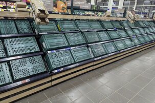 f38518d3-ad62-e61a-b88d-c77008cf404a-140146.jpeg