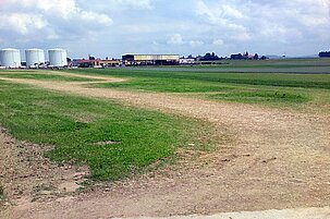12437_8.jpg