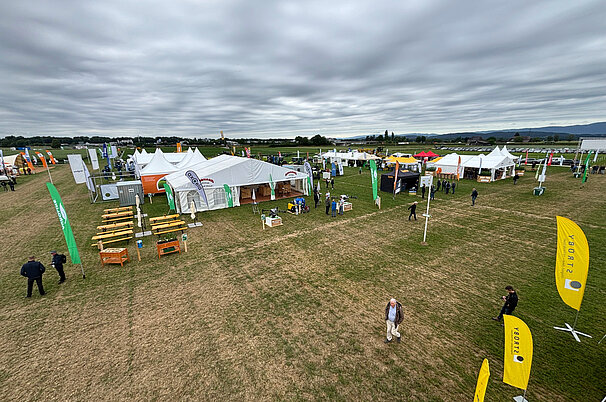 124597.jpeg