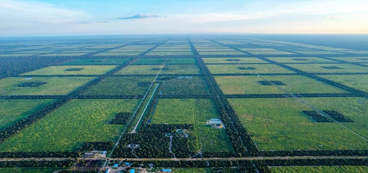Der Schweizer Bauer: XXL-Landwirtschaftsbetrieb steht zum Verkauf