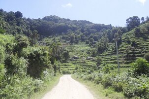 86a0ca08-683f-c668-e2d0-3cc71ea6171e-160527.jpeg
