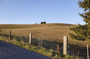 97ebe38c-970b-ad20-178e-185a4d4af3e5-140143.jpeg