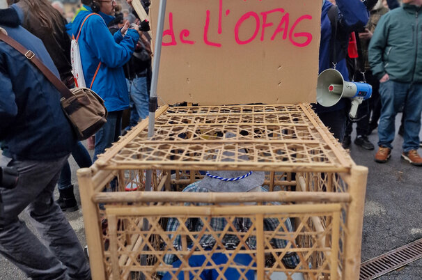 10889.jpeg
