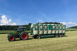 133356.jpeg