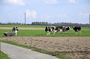 98f1b430-fd92-7172-cefa-1ef07f3006f3-144621.jpeg