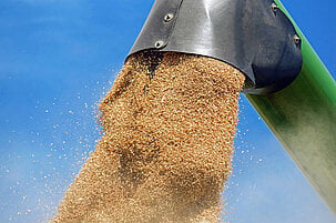 130386.jpeg