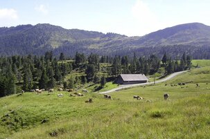07f38810-8d46-7824-f3e1-01827bfe9ee8-146677.jpeg