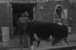 196876.jpeg