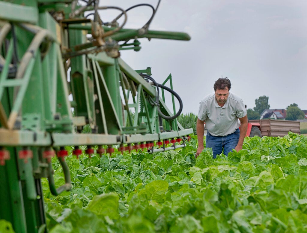 131592.jpeg