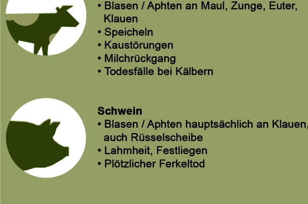 19455.png
