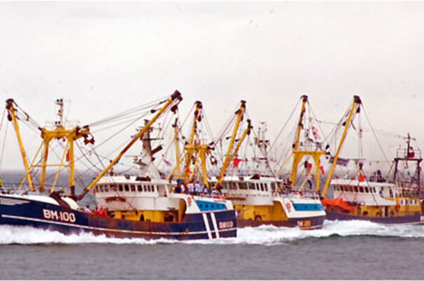 1452_8.jpg