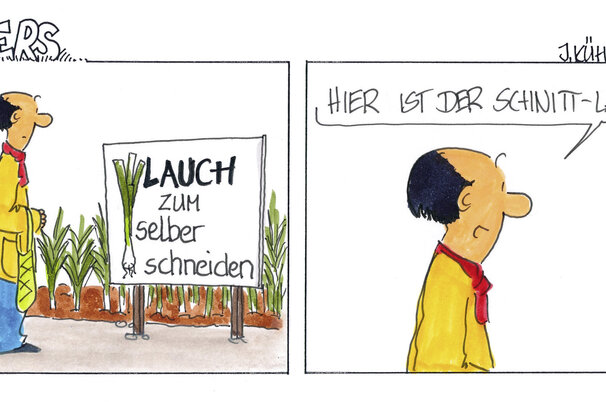 194223.jpeg