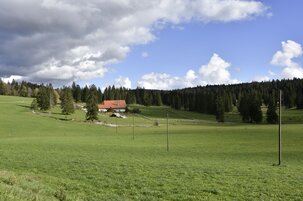 f6a8fdf7-6995-9ddf-e2e4-296b51fe482c-127405.jpeg