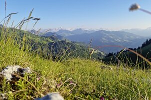 9f20bf4e-51d0-b557-5a76-9ca4995143d3-160172.jpeg