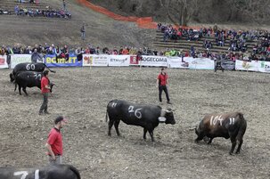 8e997f05-5520-8ca6-efdf-3524506fb07c-152140.jpeg