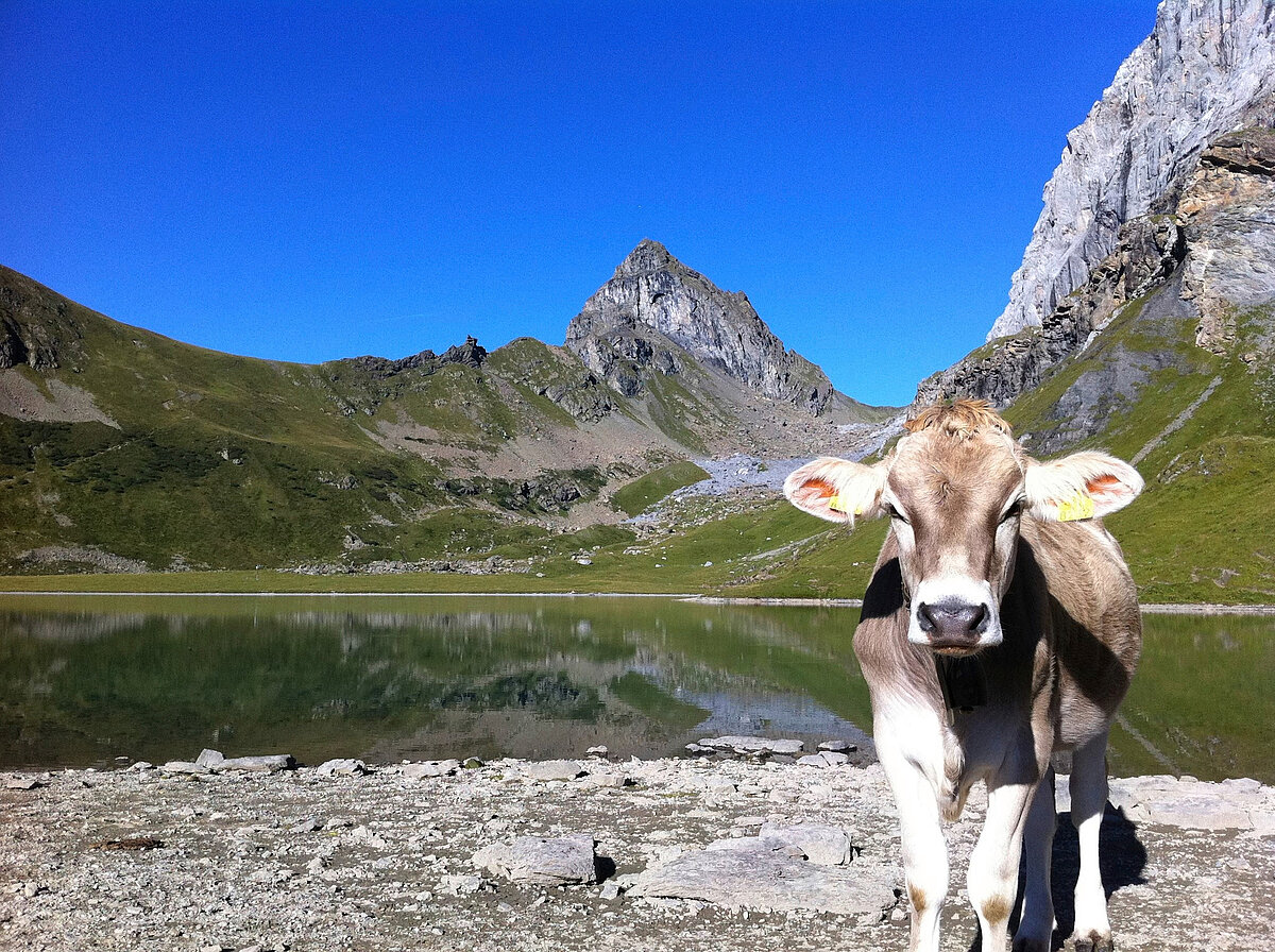 Cheryboom ifşa porno she is crazy and entertaining but her