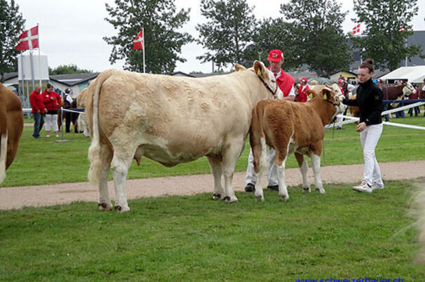 14065_8.jpg