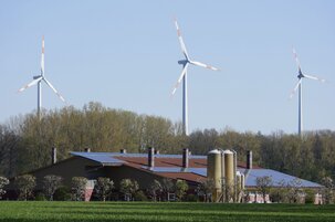 8ec35676-aeb2-dc33-7dc9-248599cf8d0a-154018.jpeg