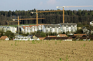 1382_8.jpg