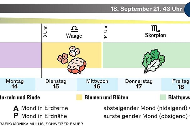 138615.jpeg