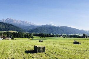 d549b33d-96d3-3e30-2f19-d18debb1ec44-112772.jpeg