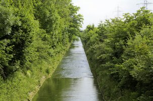 871ab4fb-b144-6c81-2270-bc31aefb183f-153258.jpeg