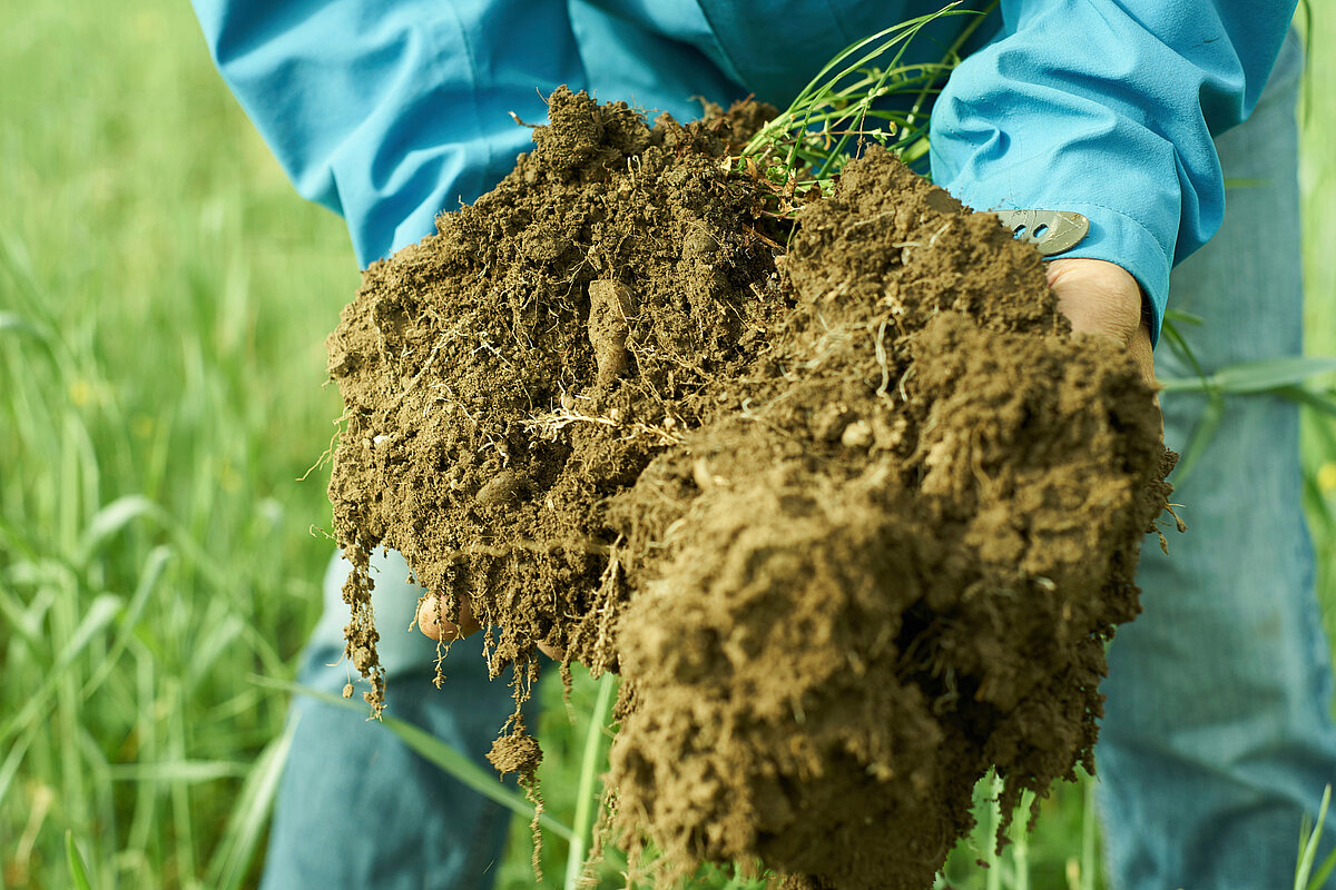 Bio vs. Konventionell: Humus & Umwelt im Fokus