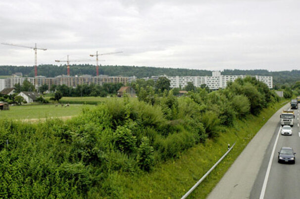 1773_8.jpg