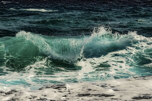 707cada9-8ffd-9a4b-8ab1-3f5249b1df39-146462.jpeg