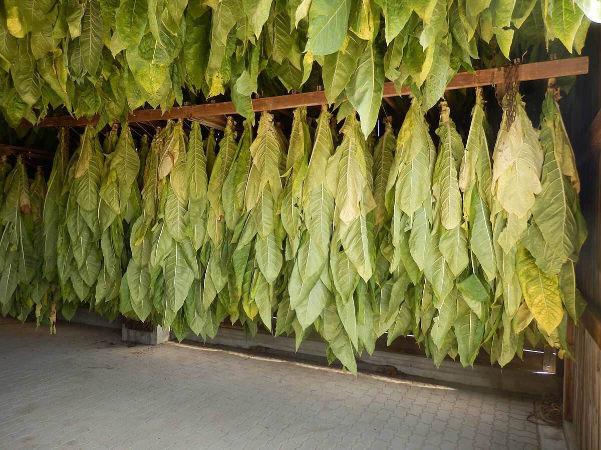 Witness Intimacy with Spencer Abigail Nude Photos - A Collection of Her Most Personal Images