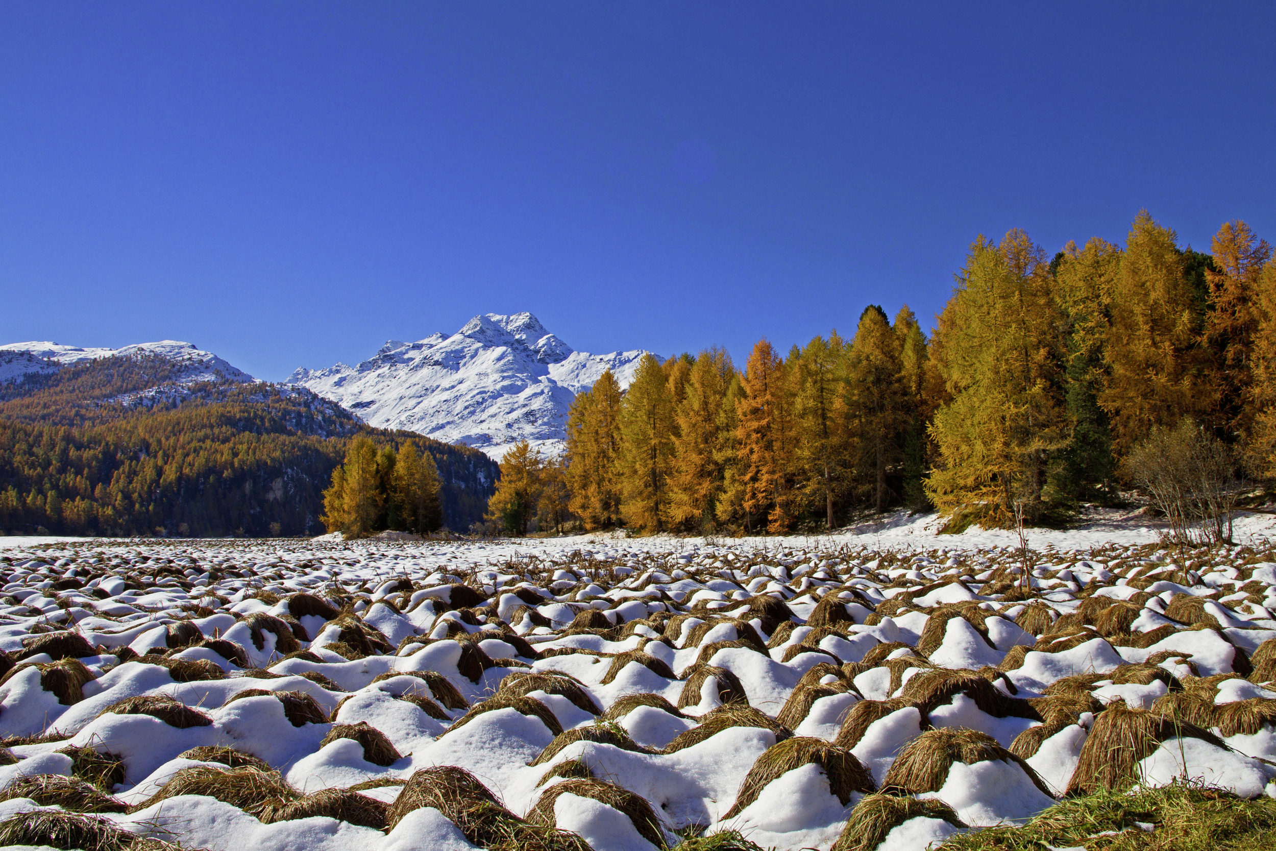 Ein erster Hauch von Winter