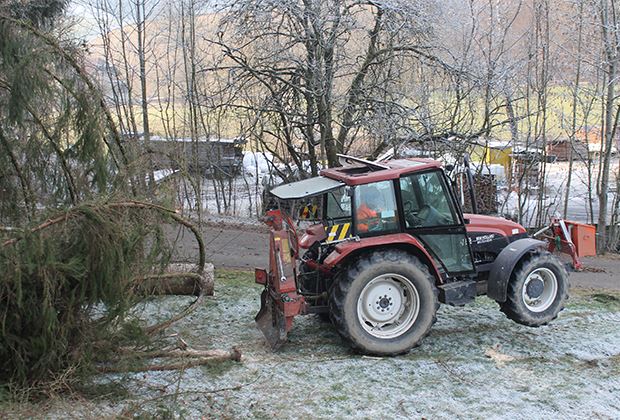 Der Schweizer Bauer: Kleine Passagiere auf Papas Traktor