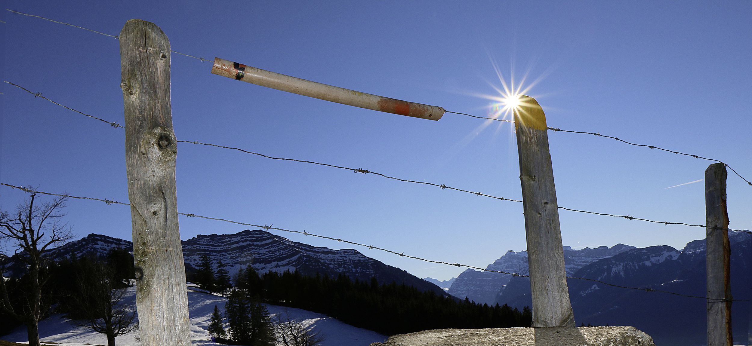 Der Schweizer Bauer: Hilfe beim Entfernen von Stacheldraht