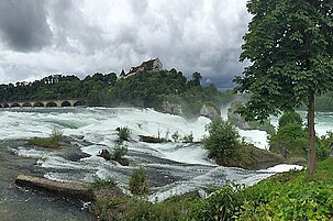 55785_8.jpg