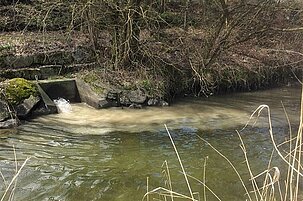 89142_8.jpg