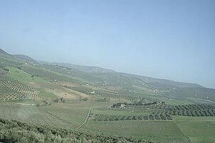 5619b1fb-f2dc-4f62-f26a-572690396c10-86009.jpeg