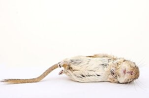 80320_8.jpg