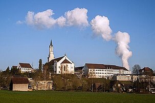 85562_8.jpg