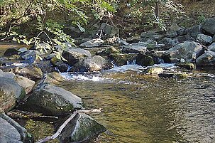 65616_8.jpg