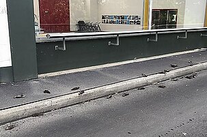 83083_8.jpg
