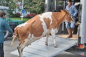 43739_8.jpg