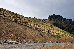82212_8-1.jpg