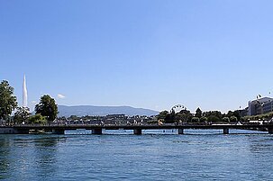 49510_8.jpg