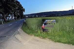 82261_8.jpg