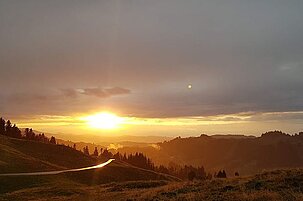 84525_8.jpg