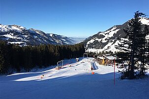 61190_8.jpg