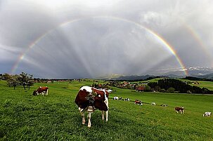 63604_8.jpg