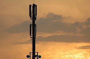 80837_8.jpg