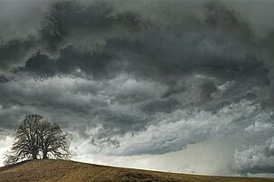 89493_8.jpg
