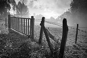 50854_8.jpg